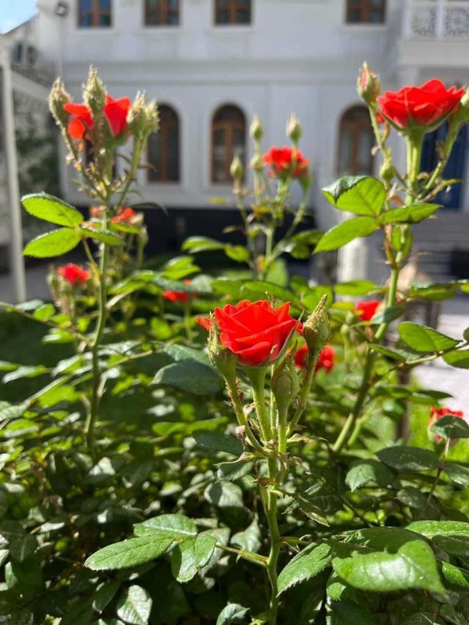 The Shahar Hotel Tashkent Exterior photo